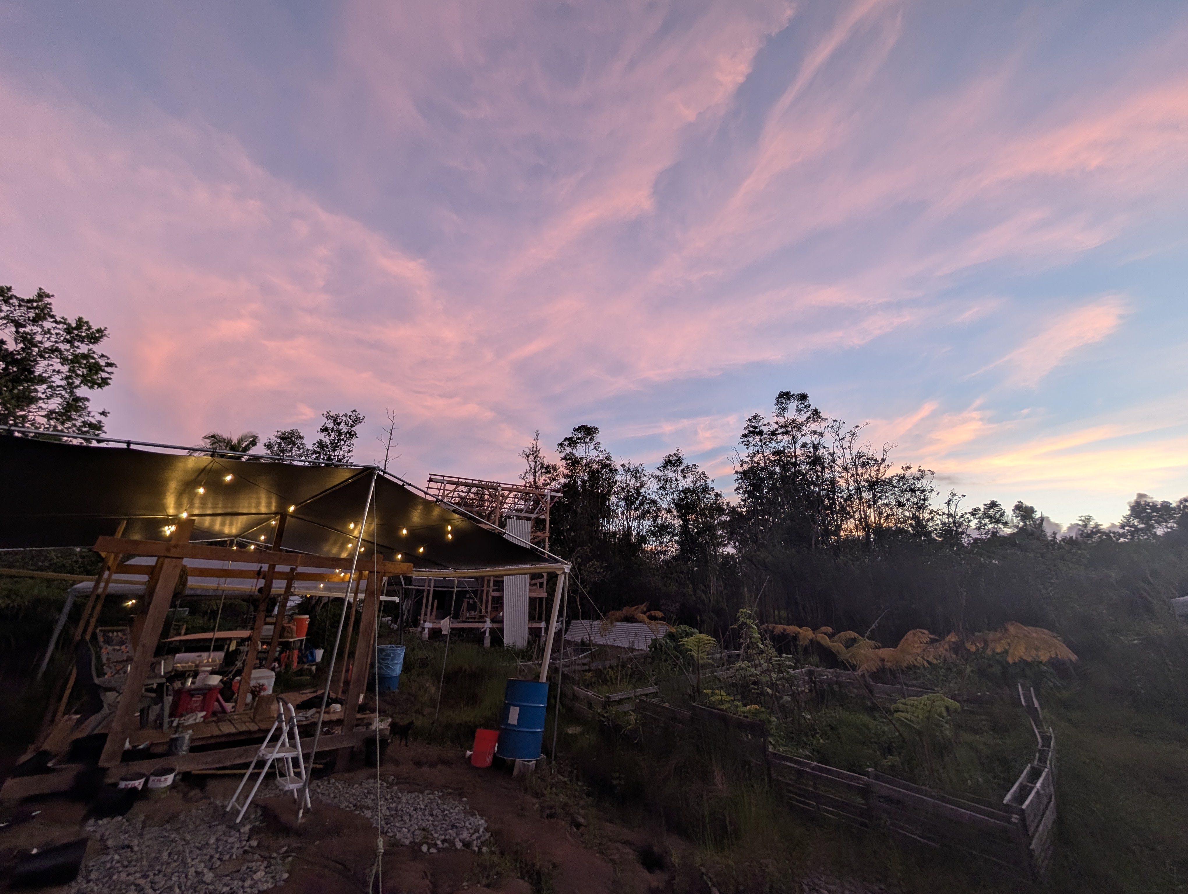 Camp at dusk: tarp kitchen, string lights, house frame, ferns