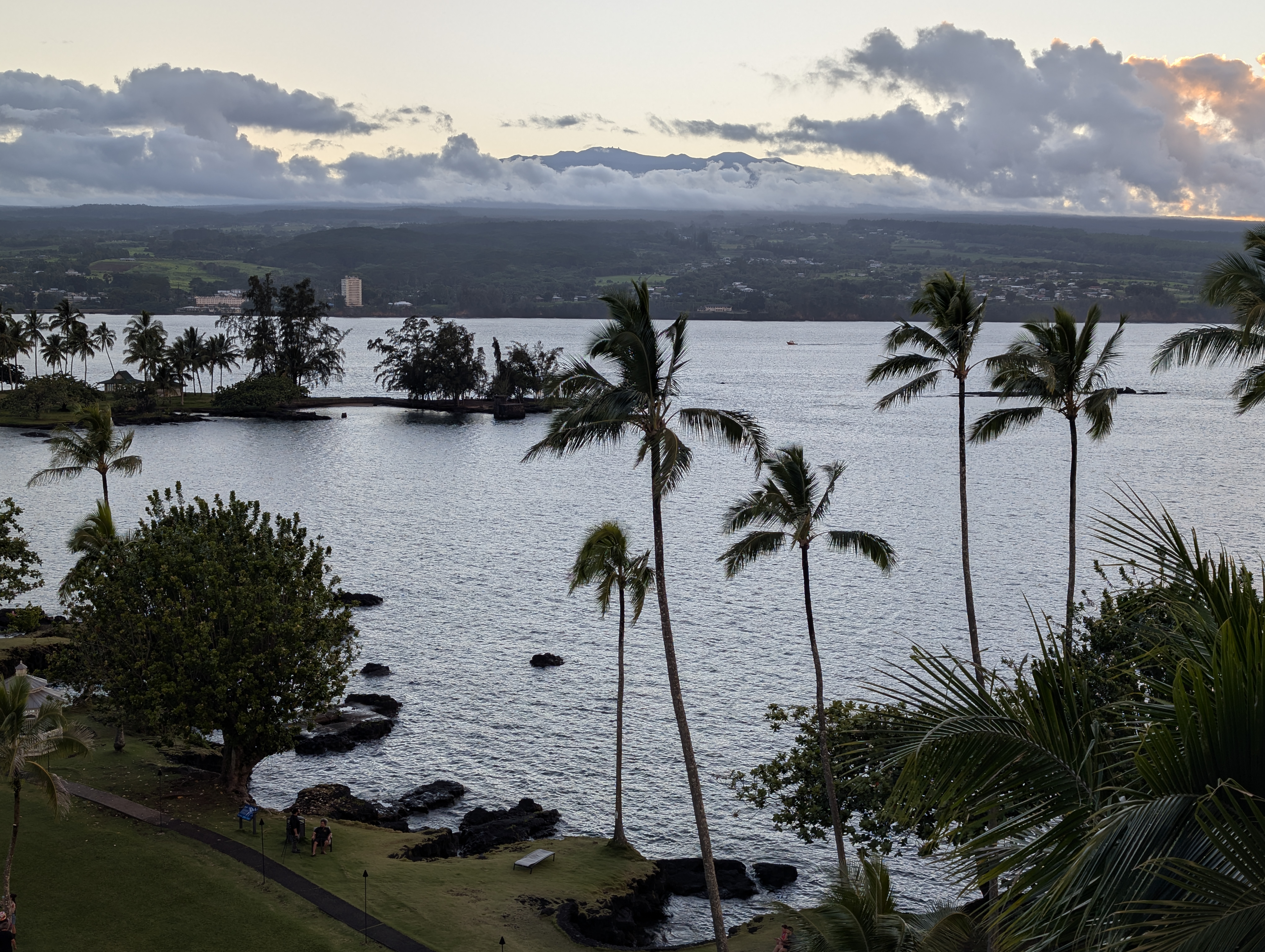 Hilo bay, palms, and the coast at dusk